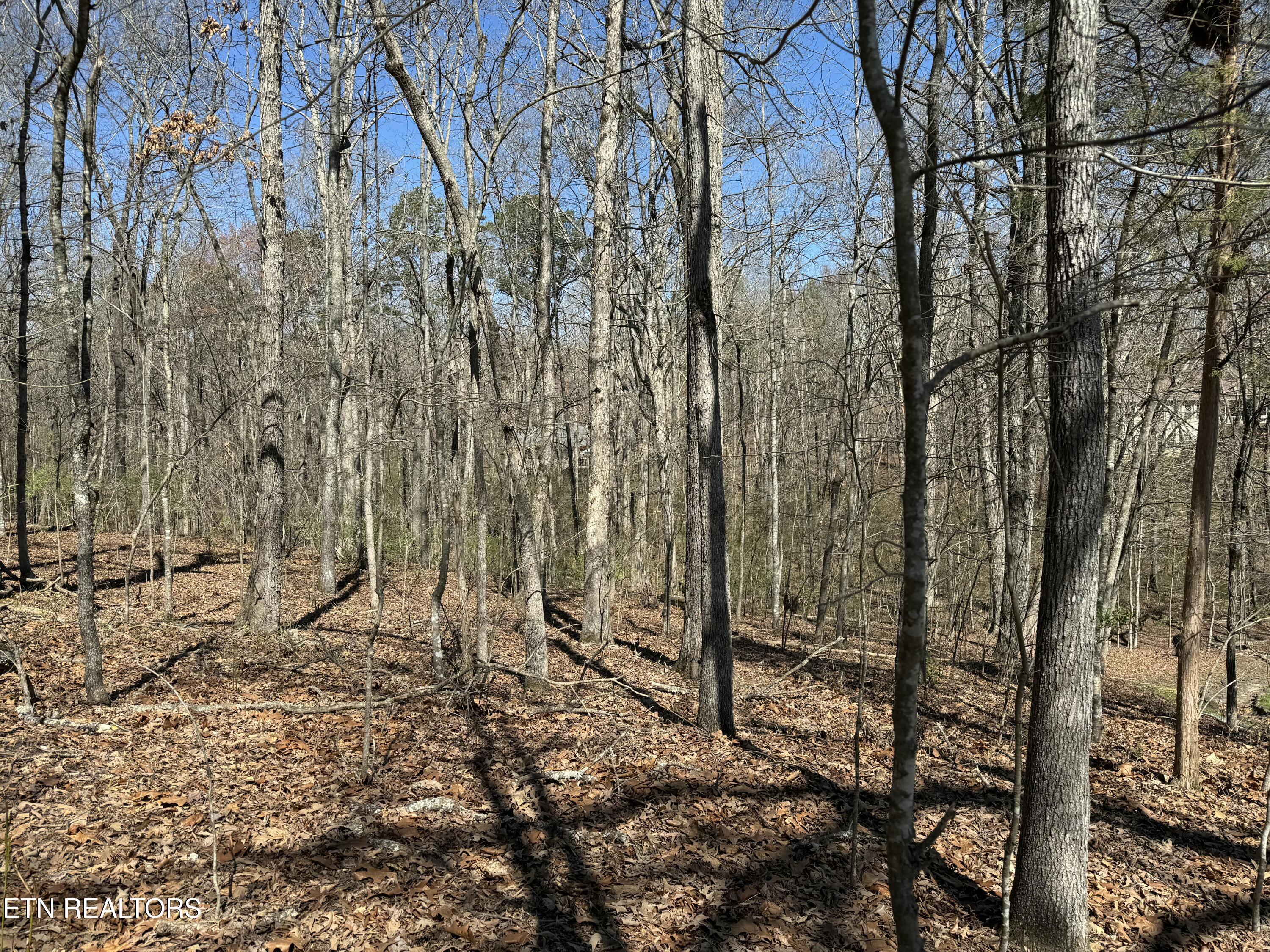 Loudon, Tennessee 37774, United States, ,Land,Active,92986