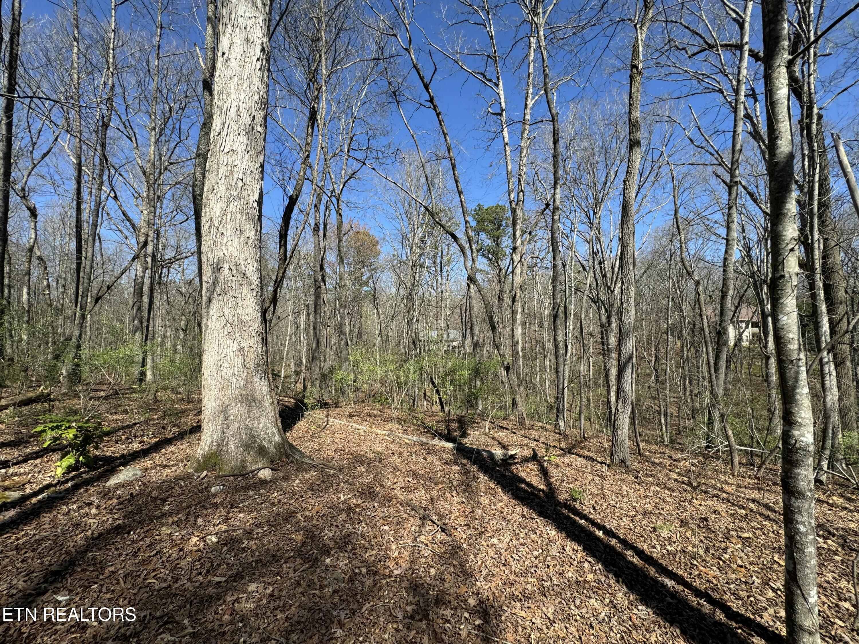 Loudon, Tennessee 37774, United States, ,Land,Active,92986