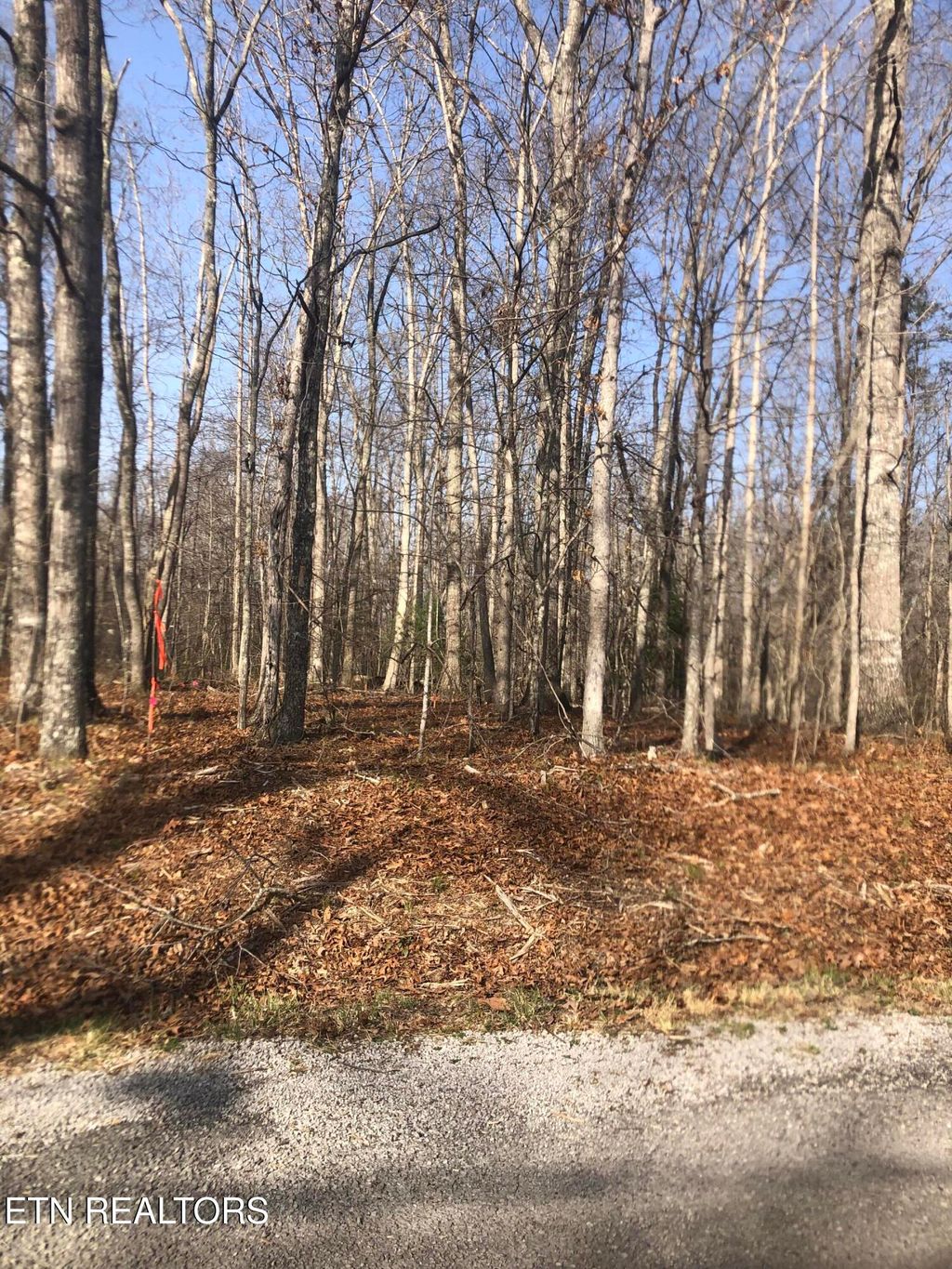 Photo of 1115 Geronimo Lane, Crossville, TN 38572 (MLS # 1332717)