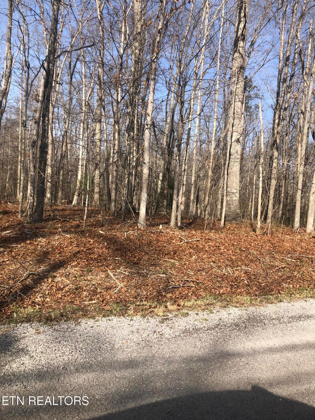 Photo of 1115 Geronimo Lane, Crossville, TN 38572 (MLS # 1332717)