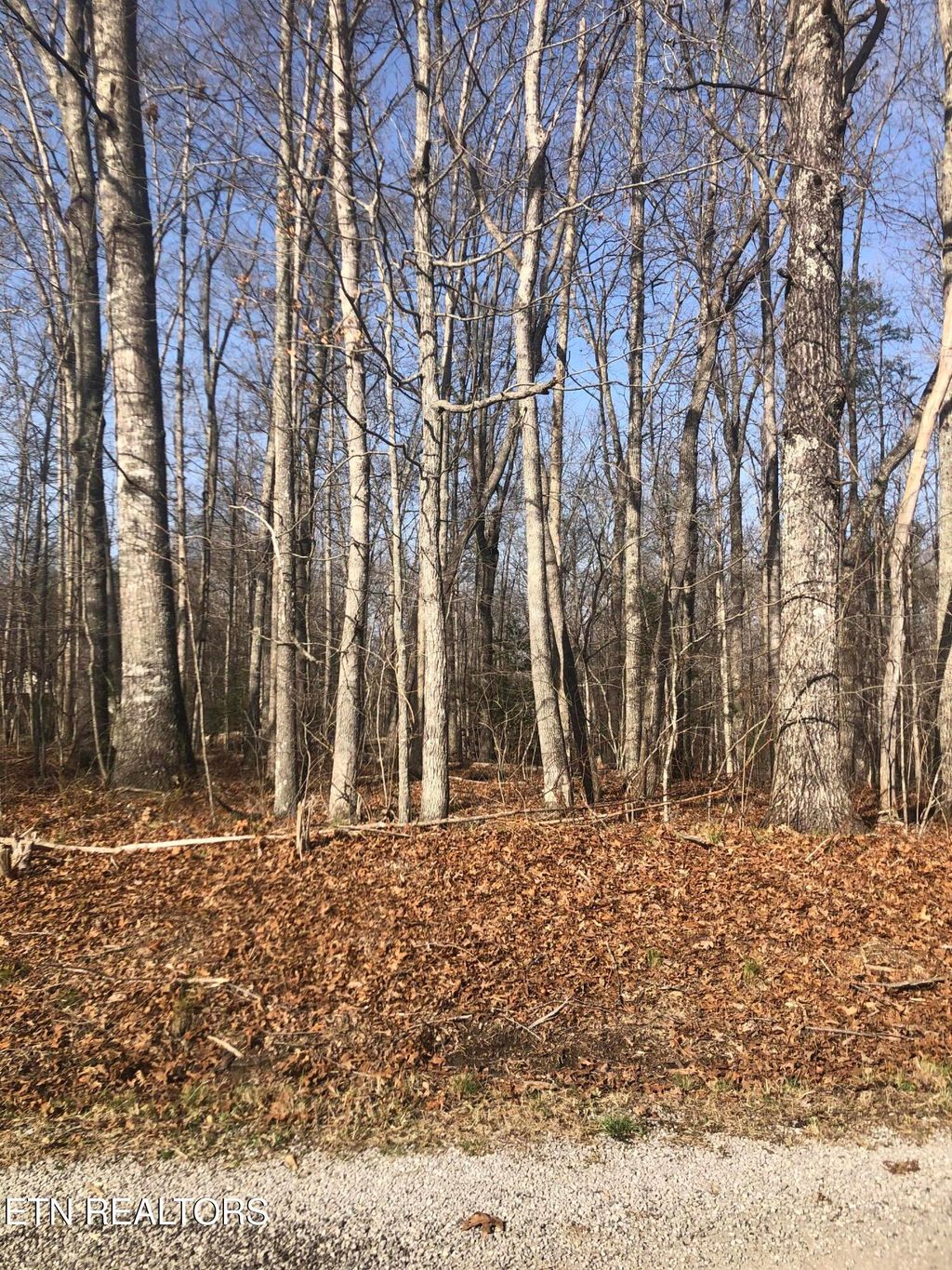 Photo of 1115 Geronimo Lane, Crossville, TN 38572 (MLS # 1332717)