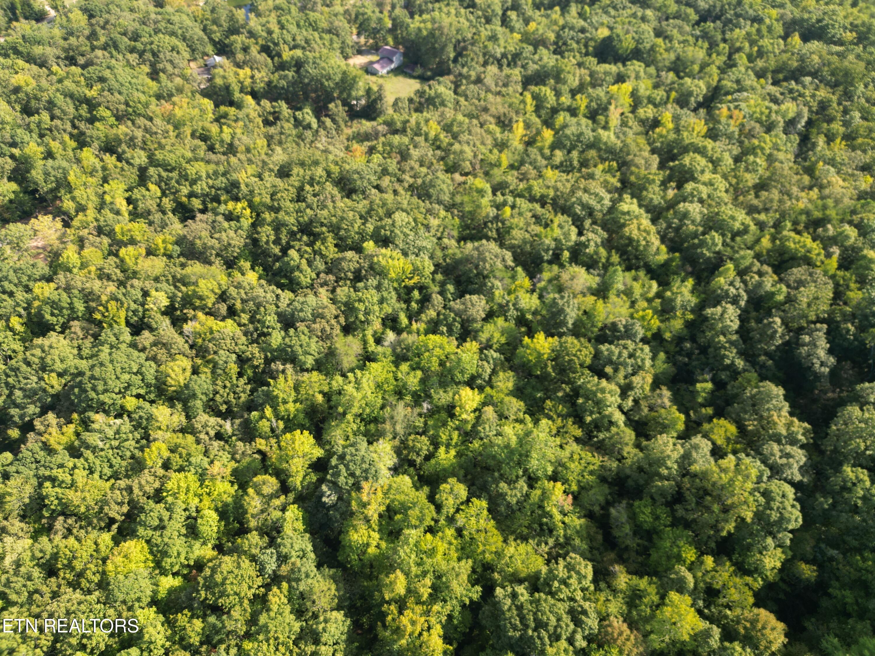 Ledgerwood Heights Drive