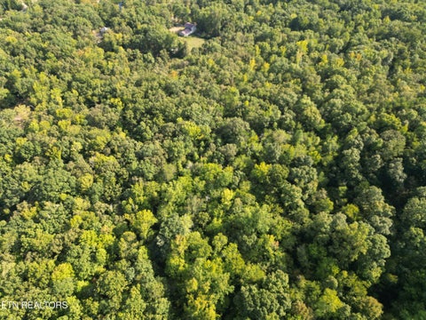 Tiny photo for Ledgerwood Heights Drive, Rockwood, TN 37854 (MLS # 1357477)