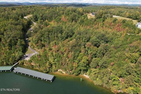 Tiny photo for 39 Waterside Way, Spring City, TN 37381 (MLS # 1317310)