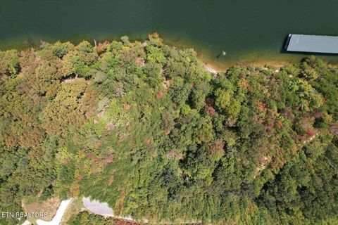 Tiny photo for 39 Waterside Way, Spring City, TN 37381 (MLS # 1317310)