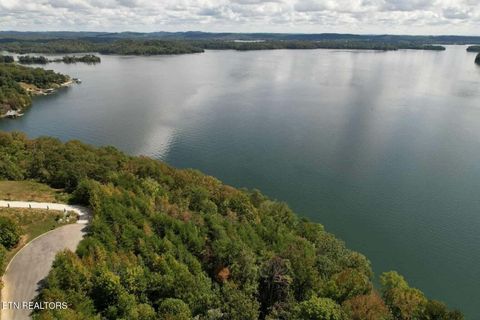 Tiny photo for 39 Waterside Way, Spring City, TN 37381 (MLS # 1317310)