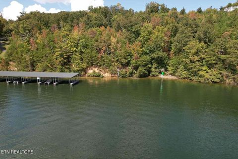 Tiny photo for 39 Waterside Way, Spring City, TN 37381 (MLS # 1317310)