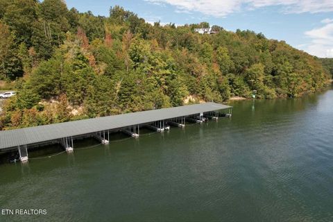Tiny photo for 39 Waterside Way, Spring City, TN 37381 (MLS # 1317310)