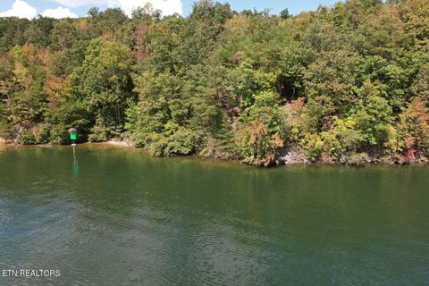 Tiny photo for 39 Waterside Way, Spring City, TN 37381 (MLS # 1317310)