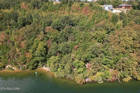 Tiny photo for 39 Waterside Way, Spring City, TN 37381 (MLS # 1317310)
