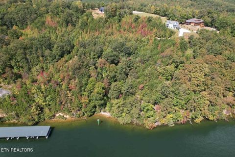 Tiny photo for 39 Waterside Way, Spring City, TN 37381 (MLS # 1317310)
