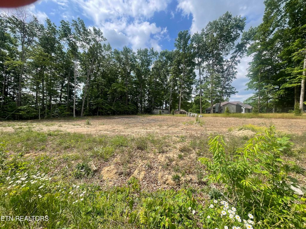 Photo of 186 Summerwind Drive, Crossville, TN 38571 (MLS # 1341589)