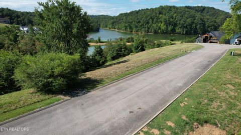 Tiny photo for Lot 45 Turners Landing Rd, Russellville, TN 37860 (MLS # 1311752)