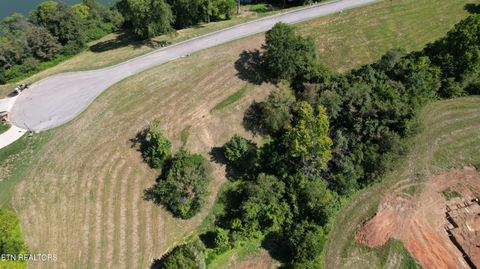 Tiny photo for Lot 45 Turners Landing Rd, Russellville, TN 37860 (MLS # 1311752)