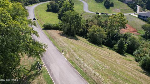 Tiny photo for Lot 45 Turners Landing Rd, Russellville, TN 37860 (MLS # 1311752)