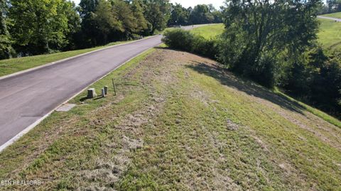 Tiny photo for Lot 45 Turners Landing Rd, Russellville, TN 37860 (MLS # 1311752)