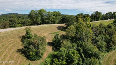 Tiny photo for Lot 45 Turners Landing Rd, Russellville, TN 37860 (MLS # 1311752)