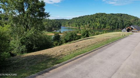 Tiny photo for Lot 45 Turners Landing Rd, Russellville, TN 37860 (MLS # 1311752)