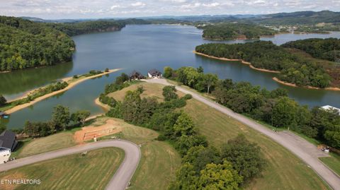 Photo of Lot 45 Turners Landing Rd, Russellville, TN 37860 (MLS # 1311752)