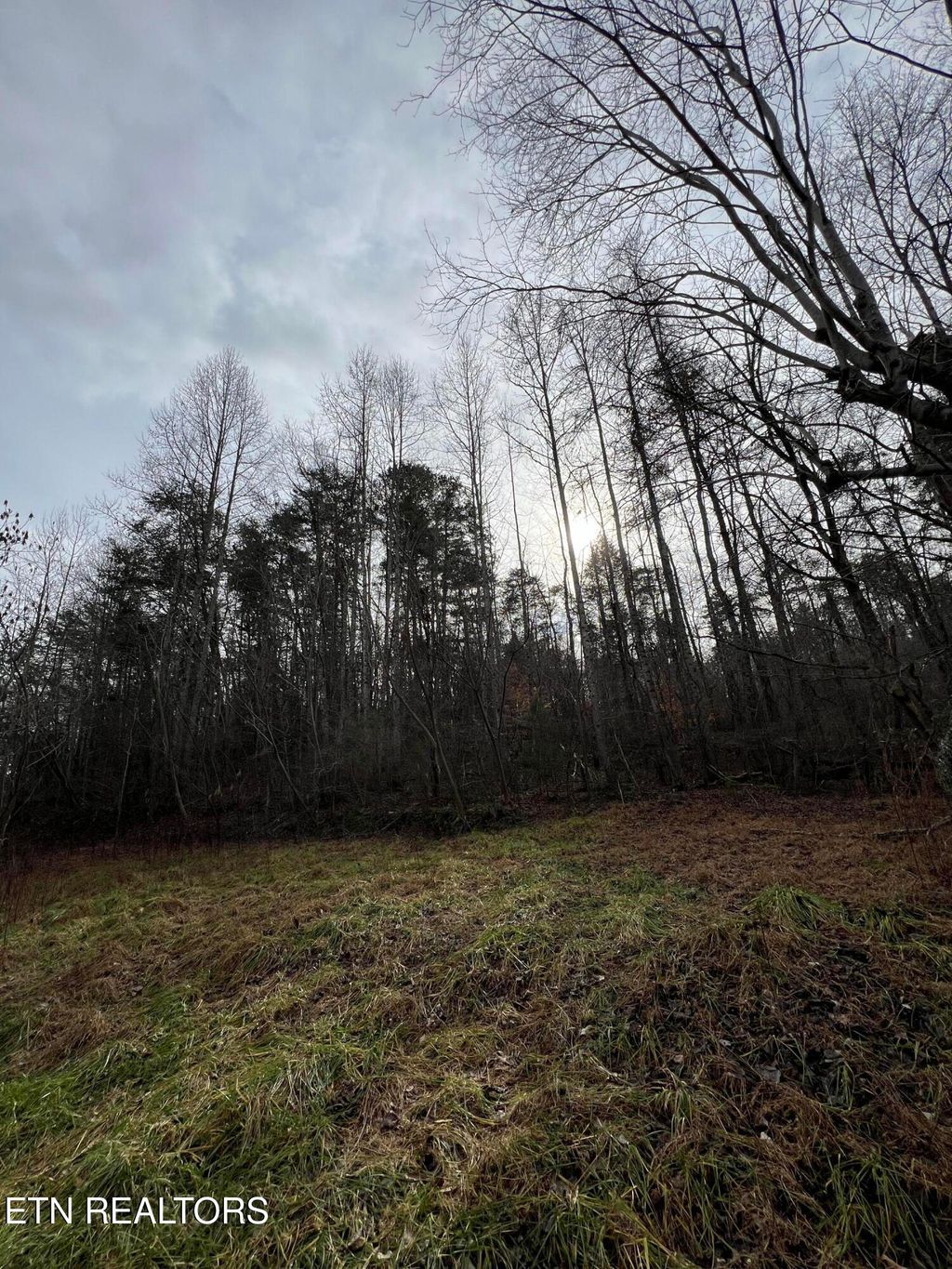 Photo of 3012 Ballplay Rd Rd, Madisonville, TN 37354 (MLS # 1316515)