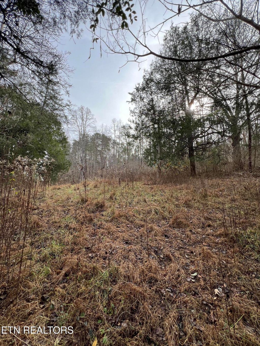 Photo of 3012 Ballplay Rd Rd, Madisonville, TN 37354 (MLS # 1316515)