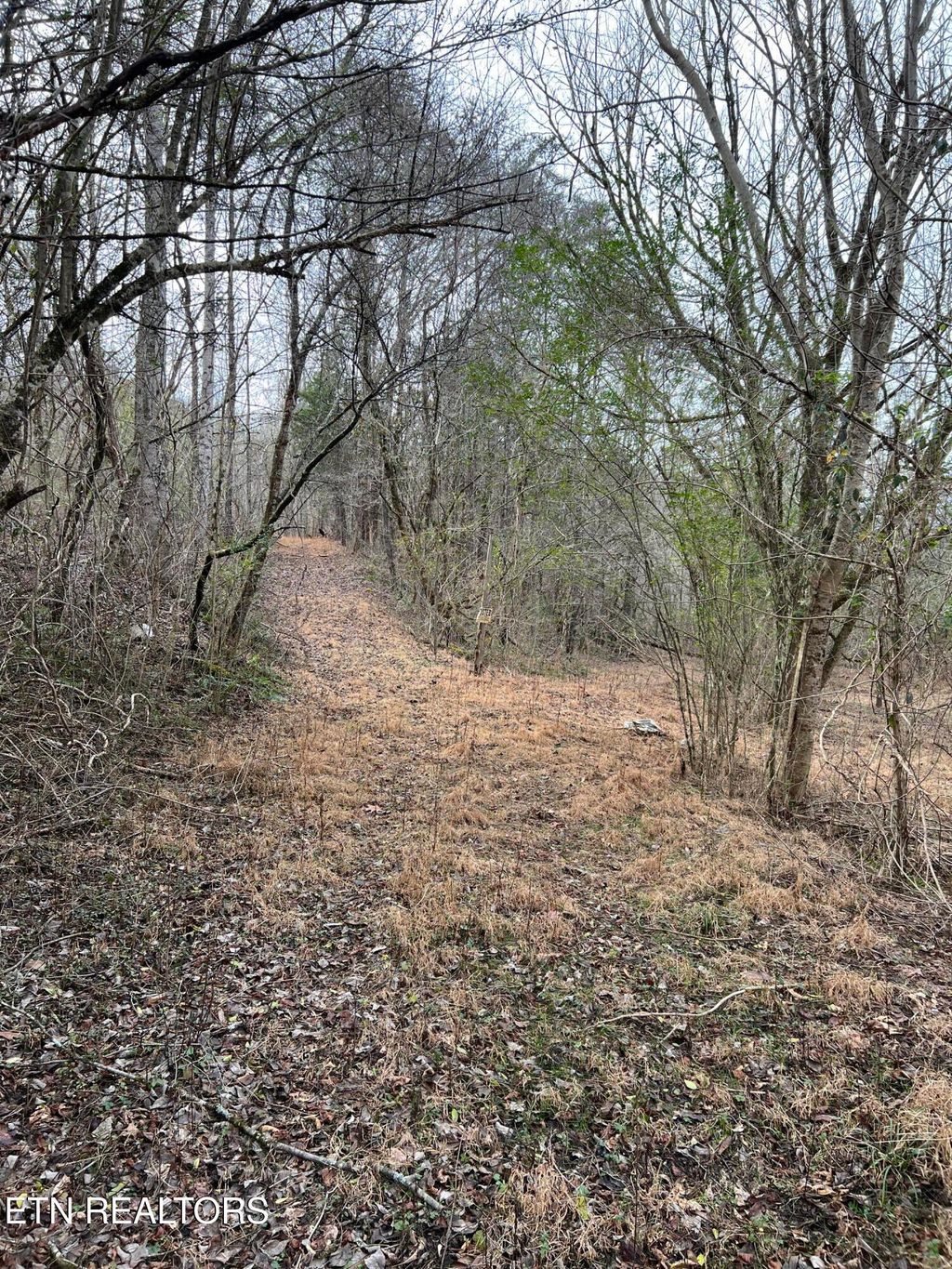 Photo of 3012 Ballplay Rd Rd, Madisonville, TN 37354 (MLS # 1316515)