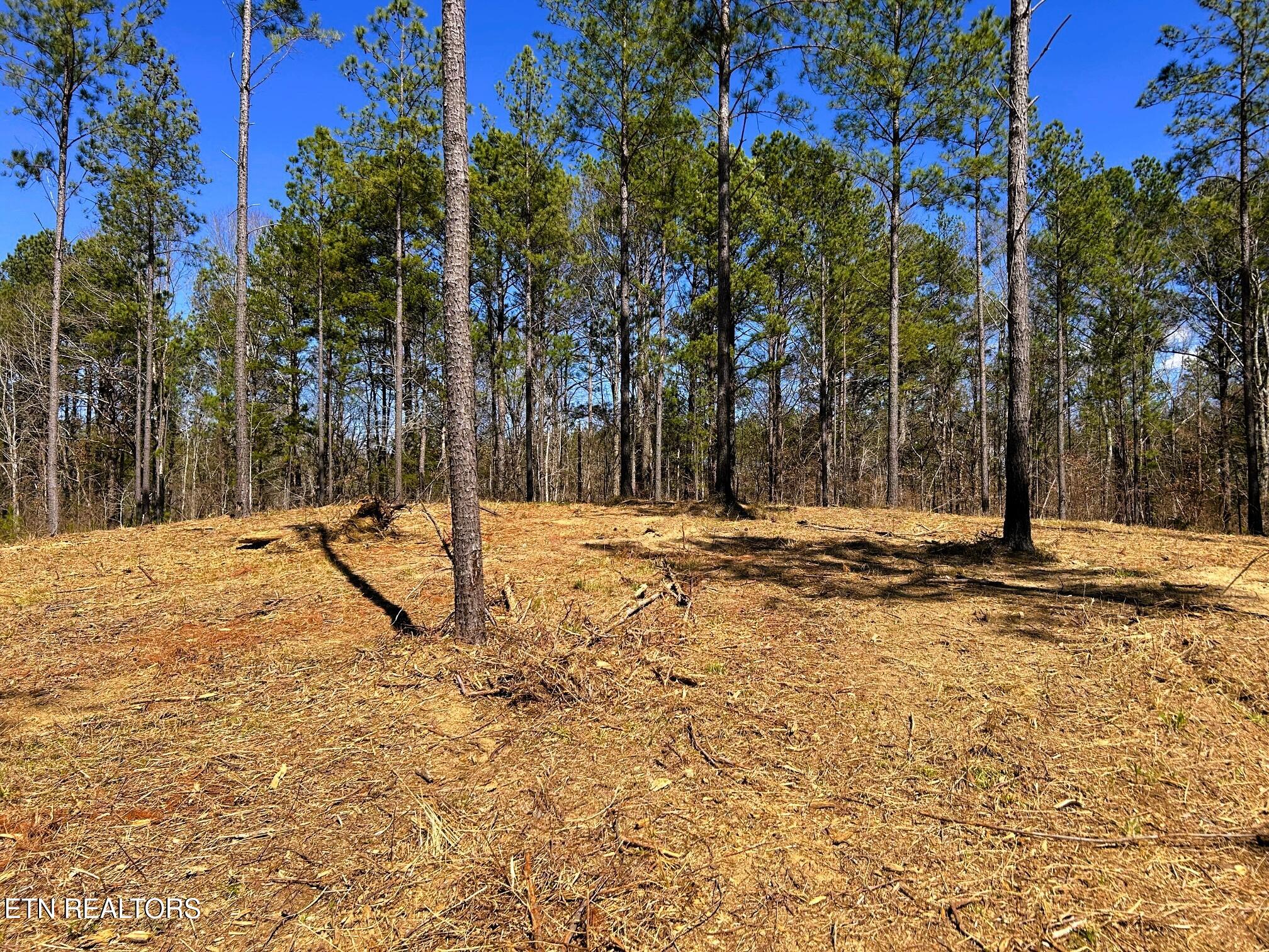 Tract 26B Hughes Lake Road SE