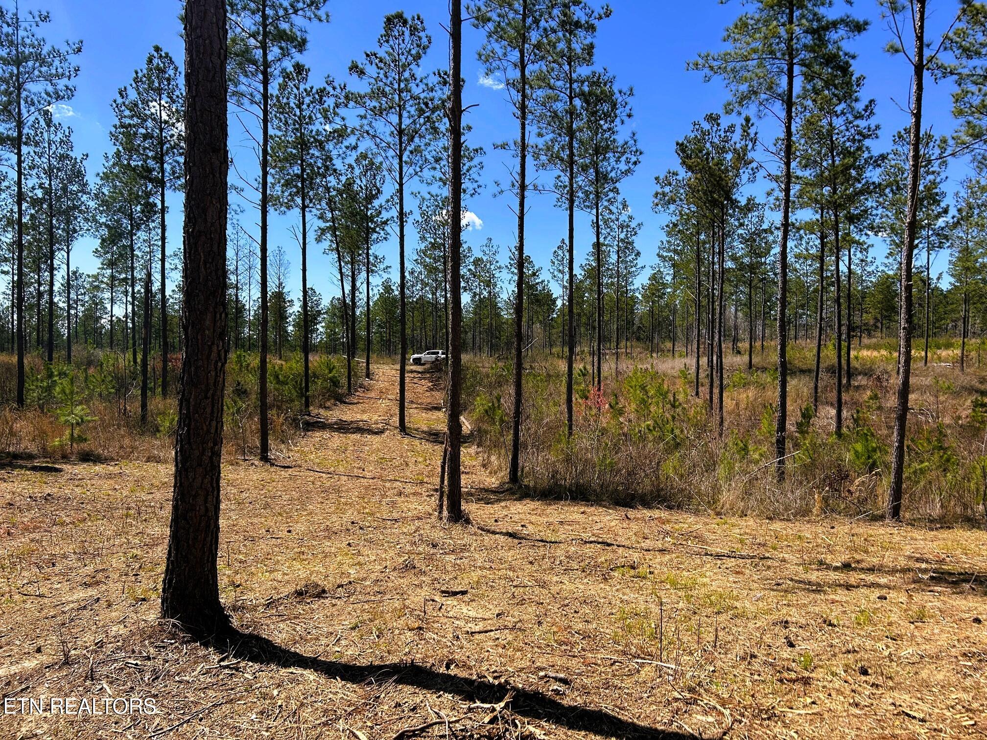 Tract 26B Hughes Lake Road SE