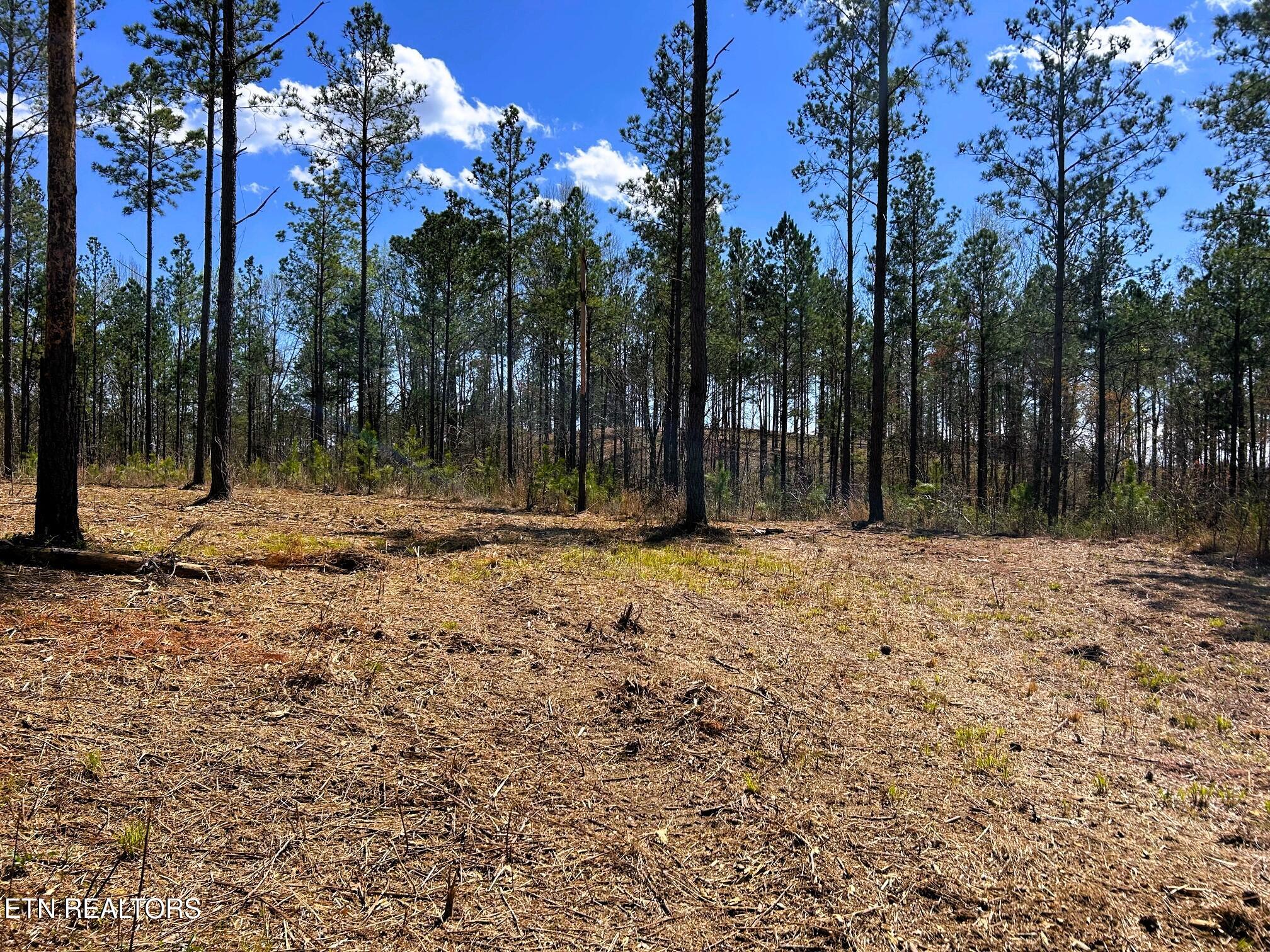 Tract 26B Hughes Lake Road SE