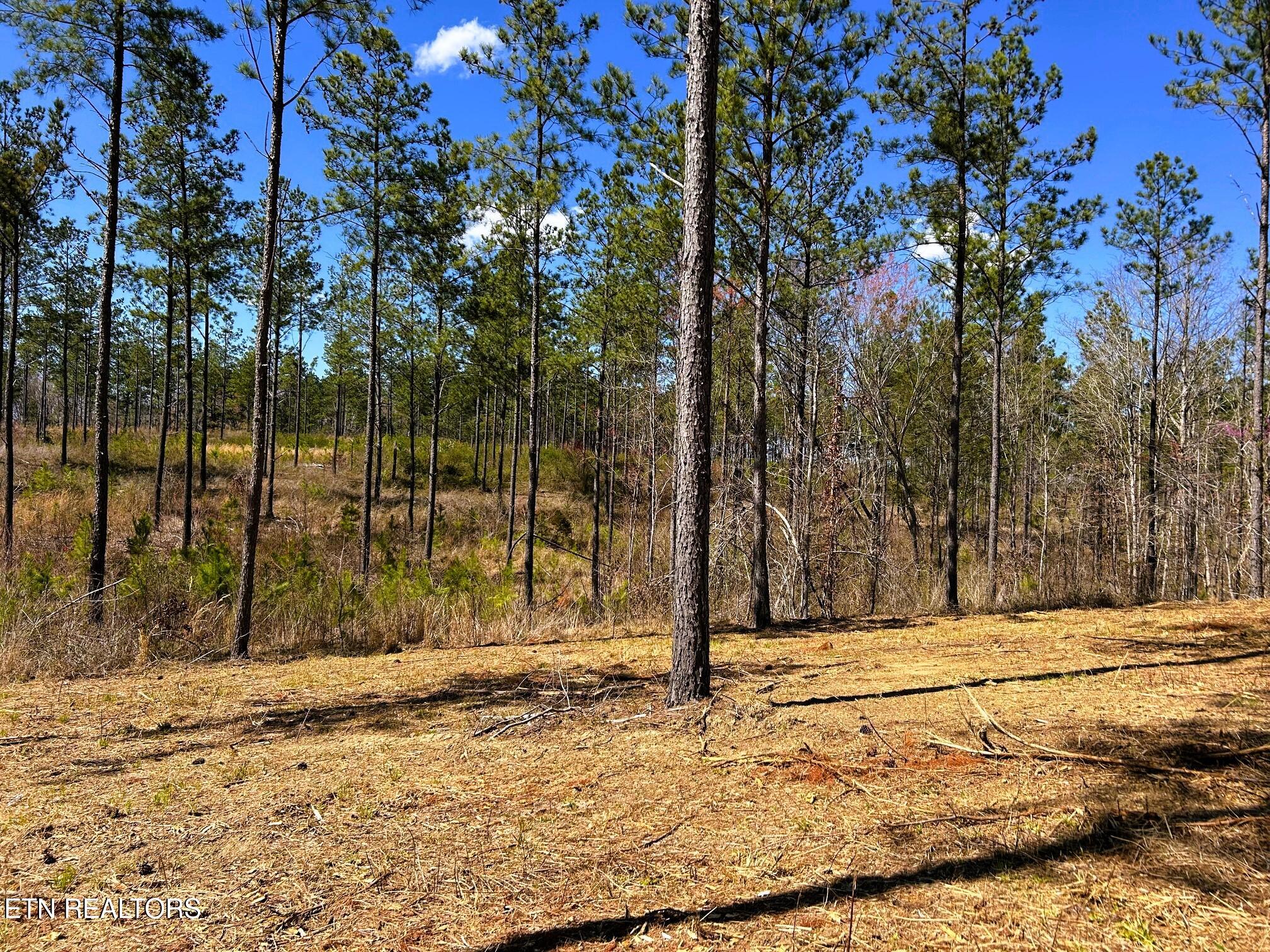 Tract 26B Hughes Lake Road SE