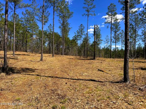 Tract 26B Hughes Lake Road SE Cleveland TN 37323