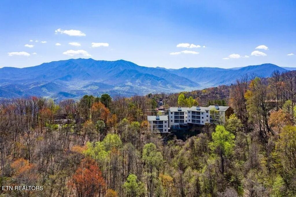 Photo of 1102 Ski View Drive #UNIT 206, Gatlinburg, TN 37738 (MLS # 1320166)