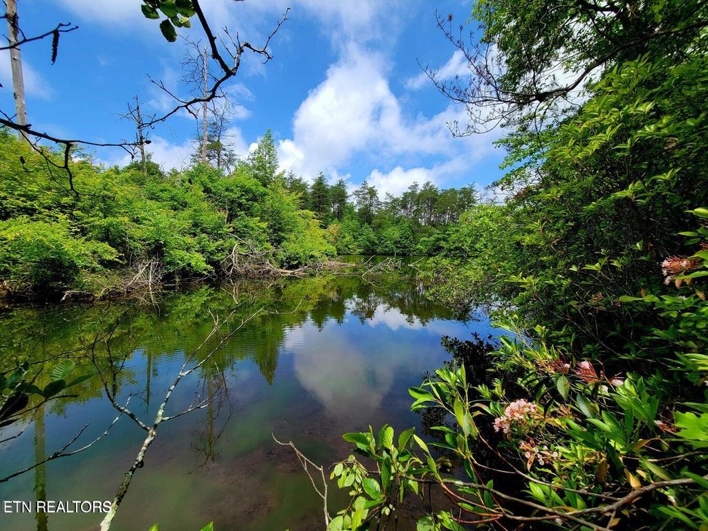 Photo of 5 Cumberland Lakes Lot 5 Drive, Monterey, TN 38574 (MLS # 1320392)