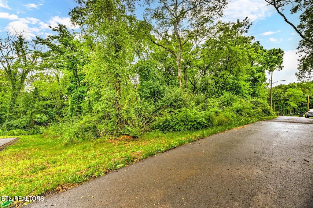 Photo of 0 Daisy Ave, Knoxville, TN 37915 (MLS # 1343518)