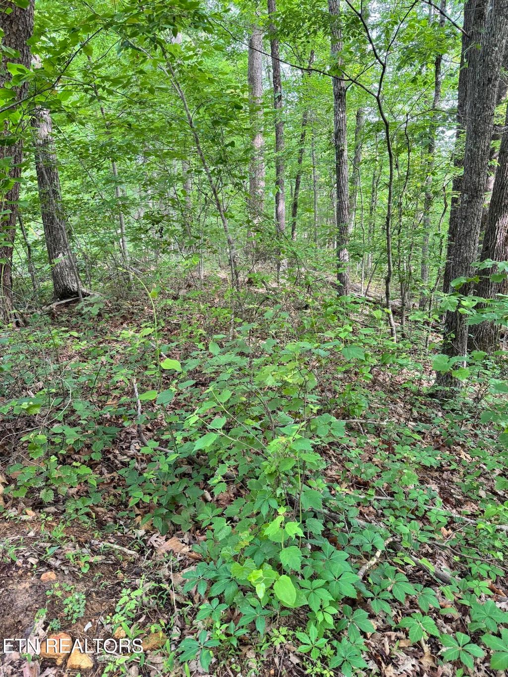 Photo of Prettiest Sunset Way #Lot 5, Seymour, TN 37865 (MLS # 1333818)