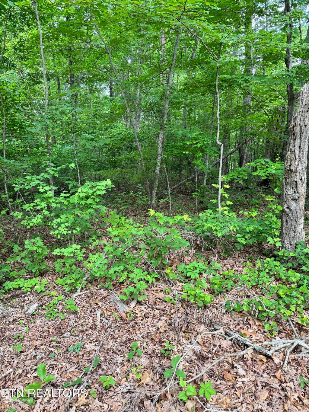 Photo of Prettiest Sunset Way #Lot 5, Seymour, TN 37865 (MLS # 1333818)