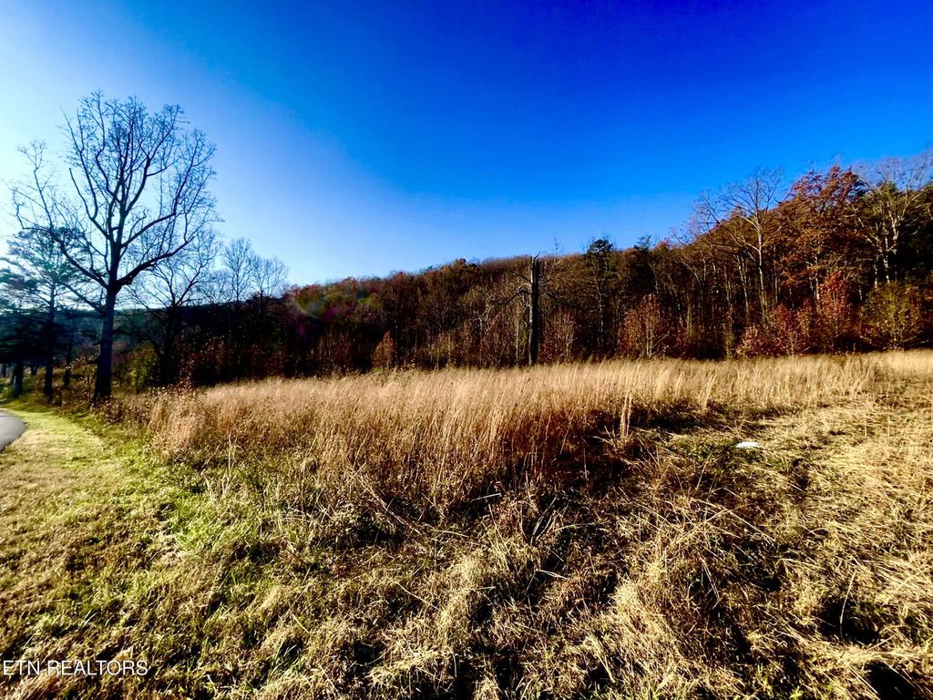 Photo of Poor Valley 15 Rd, Rutledge, TN 37861 (MLS # 1284376)