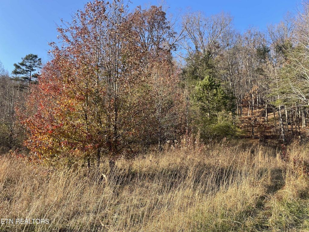 Photo of Poor Valley 15 Rd, Rutledge, TN 37861 (MLS # 1284376)