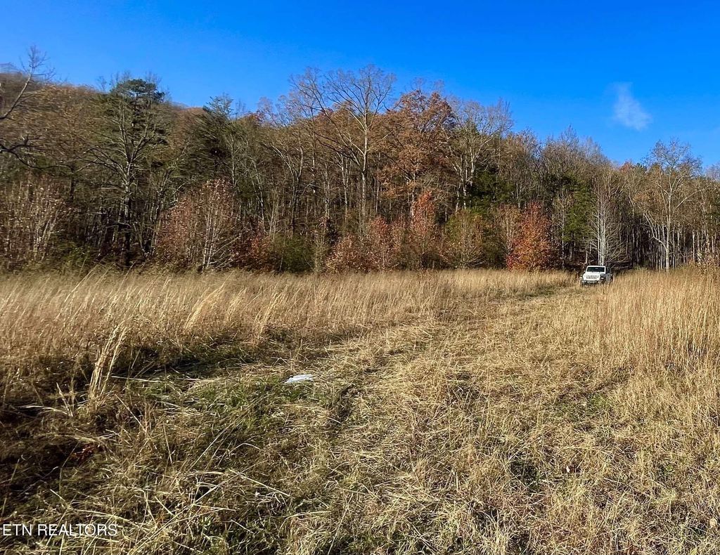 Photo of Poor Valley 15 Rd, Rutledge, TN 37861 (MLS # 1284376)