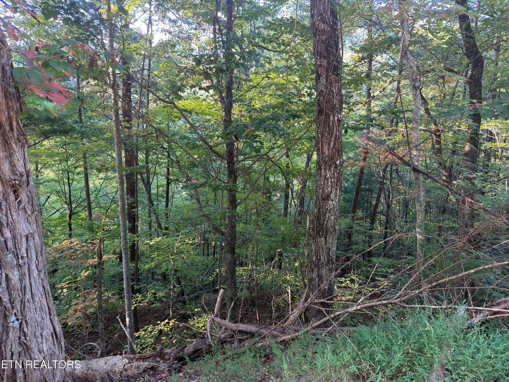 Photo of Overholt Tr, Sevierville, TN 37862 (MLS # 1358104)