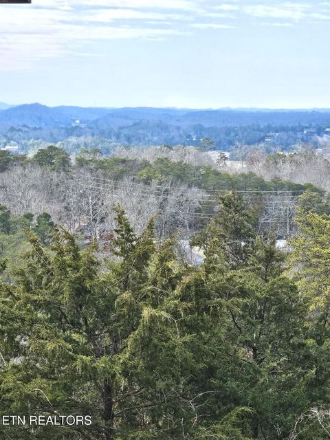 Tiny photo for 940 Buck Way, Sevierville, TN 37876 (MLS # 1328818)