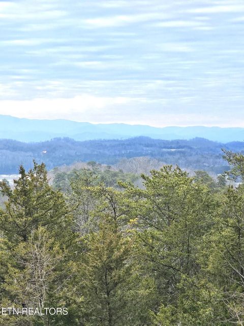 Tiny photo for 940 Buck Way, Sevierville, TN 37876 (MLS # 1328818)