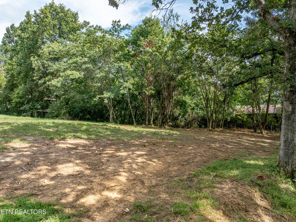 Photo of 3530 McDonald Rd, Louisville, TN 37777 (MLS # 1313110)