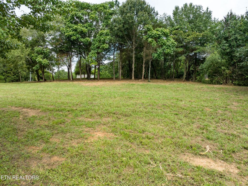Photo of 3530 McDonald Rd, Louisville, TN 37777 (MLS # 1313110)