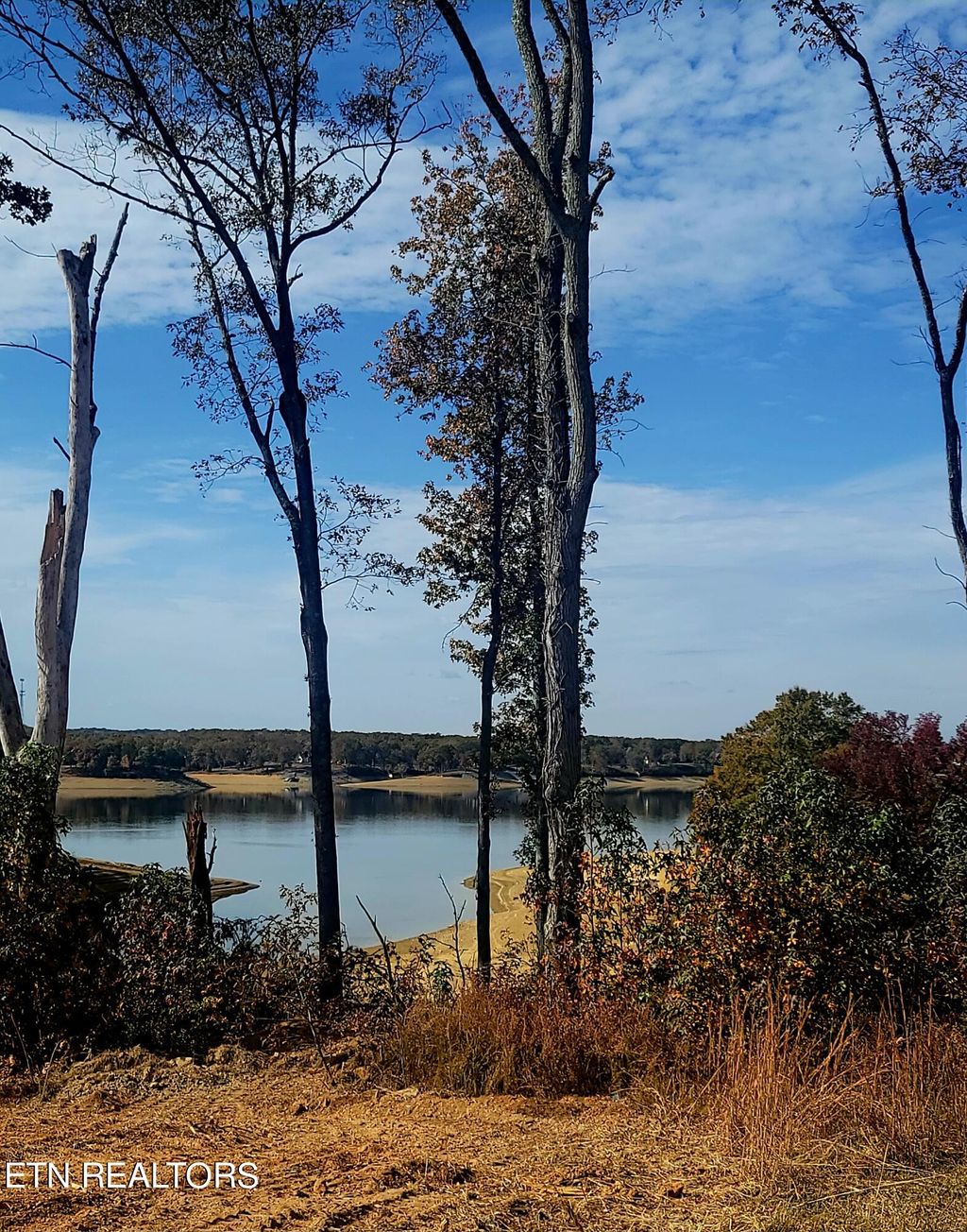 Photo of 34 Nightfall Lane, White Pine, TN 37890 (MLS # 1244084)