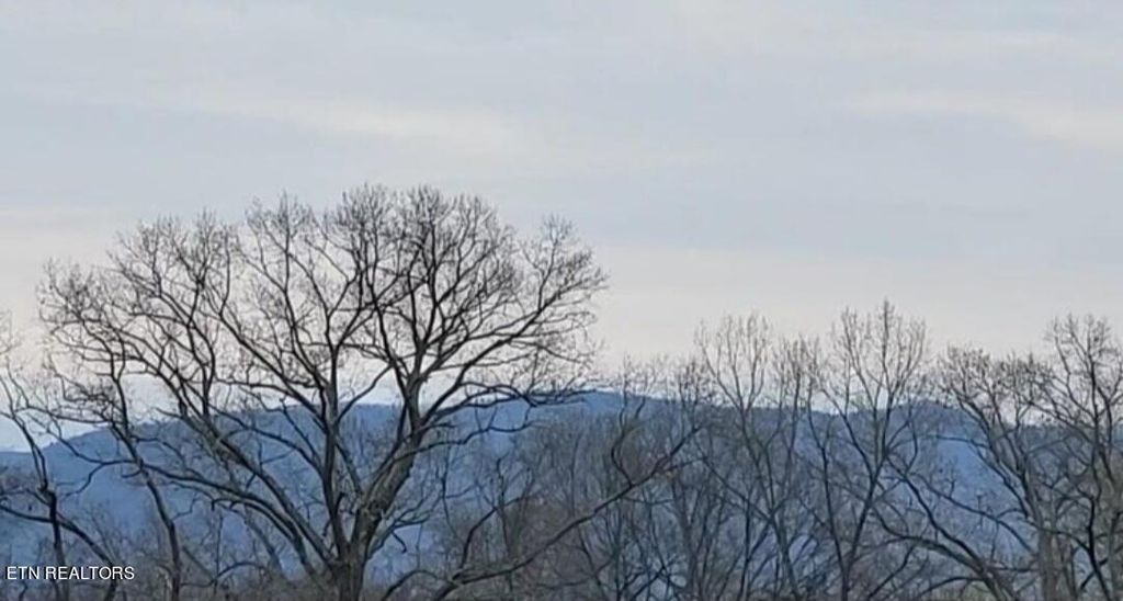 Photo of 34 Nightfall Lane, White Pine, TN 37890 (MLS # 1244084)