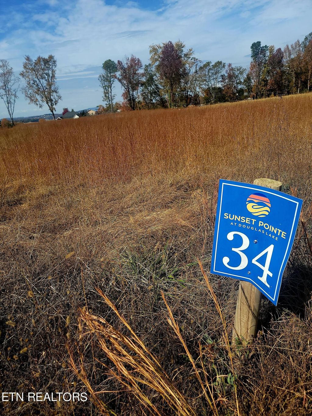 Photo of 34 Nightfall Lane, White Pine, TN 37890 (MLS # 1244084)