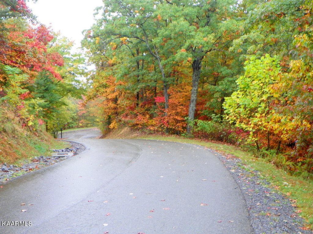 Photo of 19 Laurel Top Way, Sevierville, TN 37863 (MLS # 1210941)