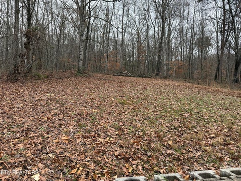 Tiny photo for 522 College Grove Rd, Rockwood, TN 37854 (MLS # 1355999)