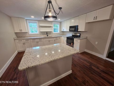Tiny photo for 671 Hen Valley Rd, Oliver Springs, TN 37840 (MLS # 1316782)